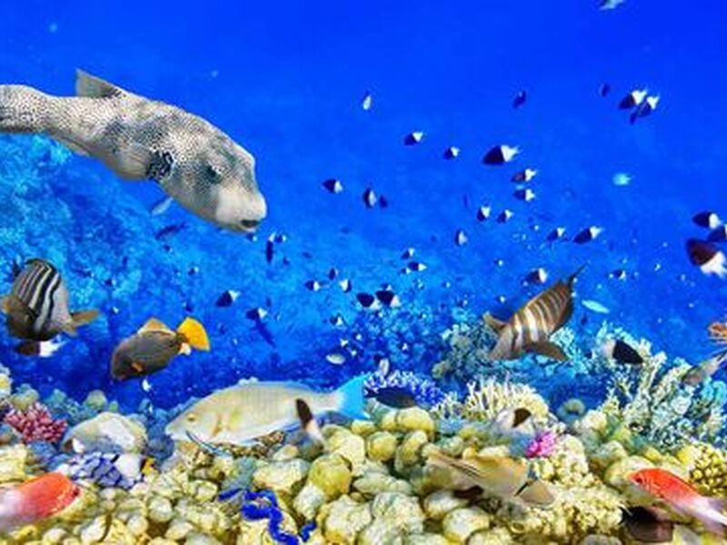 Baştanbaşa Mısır Masalı (Sharm – Kahire – Hurghada) 8 Gece – 9 Gün (7 Gece Otel Konaklaması)